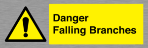 Danger Falling Branches